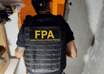 Córdoba: descubrieron detrás de una heladera una puerta “secreta” que llevaba a un invernadero de marihuana