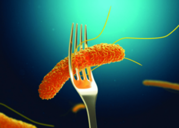 En la provincia de Santa Fe no se registran casos de infección por Salmonella o Shigella