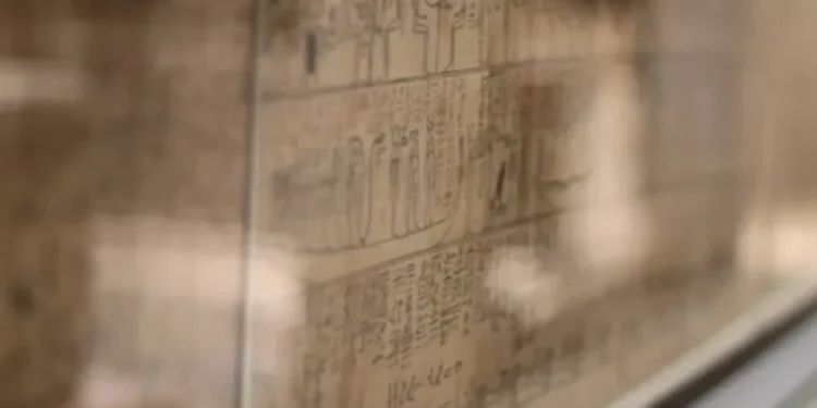 Conjuros para el más allá: hallaron en Saqqara un papiro de 16 metros del “Libro de los Muertos”