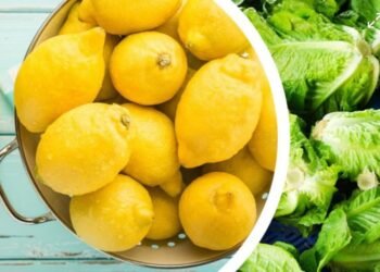 La lechuga y el limón, los productos que más aumentaron en el año
