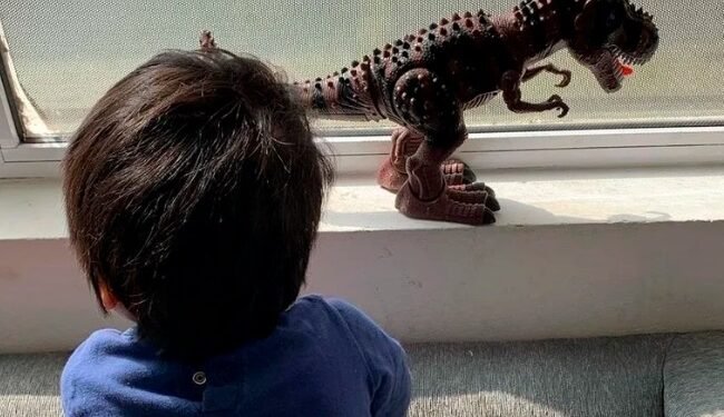 El Gobierno oficializó una Asignación Universal para niños que viven en residencias y hogares