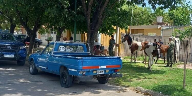 La Fiscalía inició una causa a vecina que tenía sus caballos sueltos