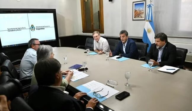 Gripe aviar: el Gobierno anunció medidas de ayuda y más controles para evitar que llegue a la producción y al consumo