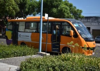 Boleto Educativo Gratuito: lo que hay que hacer antes del inicio de clases