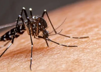 Suben los casos de dengue en la provincia