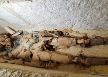 Descubrieron en Egipto una tumba de hace 4.300 años con un insólito objeto relacionado con Messi