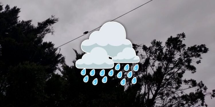 El viento Sur y la lluvia trajeron algo de alivio a tanto calor: ¿cómo seguirá el clima?