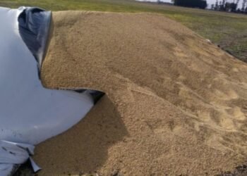 Ataque en un campo: Destrozaron todos los silobolsas