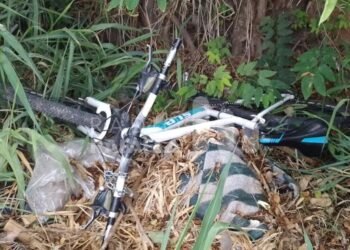 Robaron una bicicleta y a las horas la abandonaron entre unas malezas