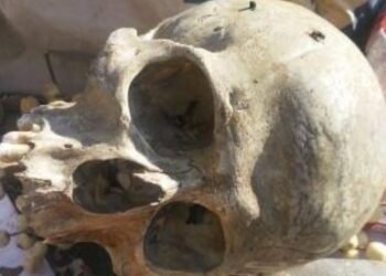 Sorpresa en la región: apareció un cráneo en el basural de Elisa