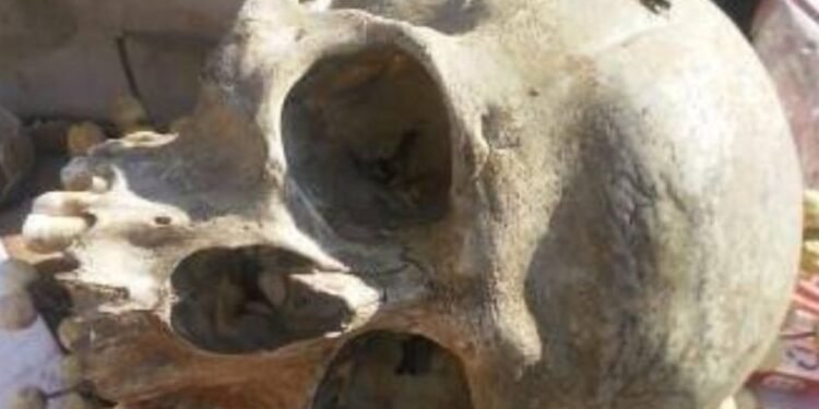 Sorpresa en la región: apareció un cráneo en el basural de Elisa