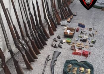 Llamó a la policía por la cantidad de armas que guardaba su hermano: tenía decenas de escopetas