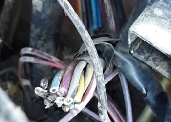 Daños en el depósito de una empresa de transporte