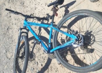 Junto a un menor intentó robar una bicicleta