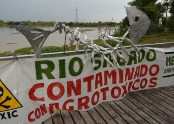 Preocupa en el Senado santafesino la contaminación del río Salado