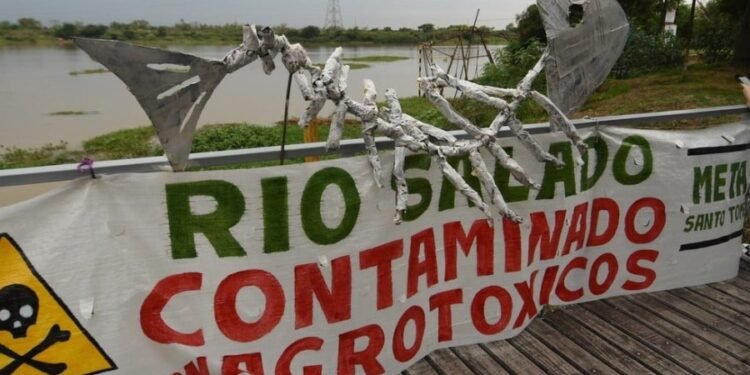 Preocupa en el Senado santafesino la contaminación del río Salado