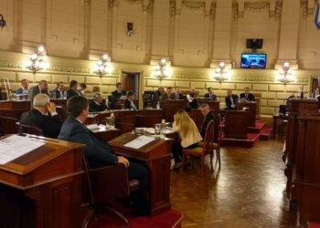 Senadores provinciales rechazaron declaraciones de Aníbal Fernández