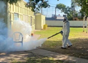Se refuerzan las tareas de bloqueo por dengue