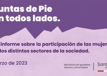 8M: participación de la mujer santafesina en el Estado y la economía