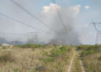 Un gigantesco apagón afecta a seis millones de usuarios en el país