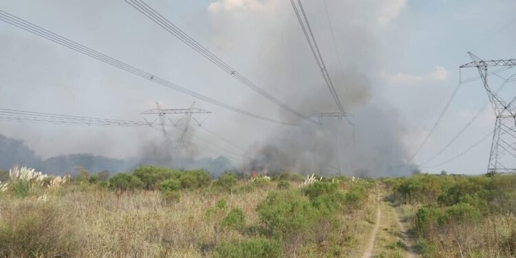 Un gigantesco apagón afecta a seis millones de usuarios en el país