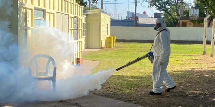 Se multiplican los casos de dengue en Rafaela