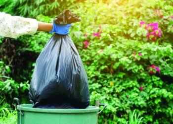 La recolección de residuos de patio se realizará en el sector 1