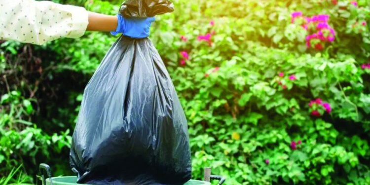 La recolección de residuos de patio se realizará en el sector 1