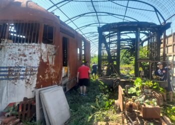 Se realizan tareas de limpieza en el predio del Ferrocarril Belgrano