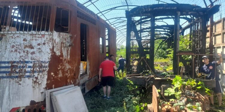 Se realizan tareas de limpieza en el predio del Ferrocarril Belgrano