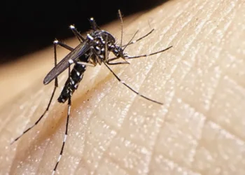 Rafaela se suma a las ciudades con circulación viral de dengue