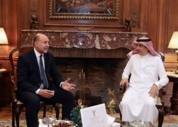 Perotti mantuvo una reunión de trabajo con el embajador de Arabia Saudita