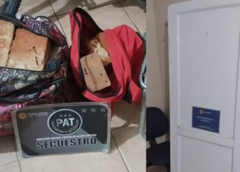 Robo de ladrillos y una puerta