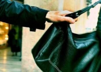 El ladrón que se quedó con las ganas