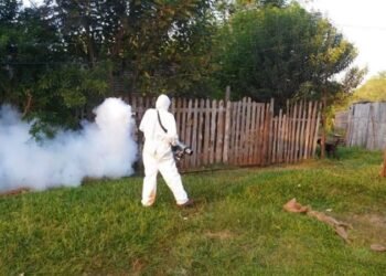 Se dispara el dengue en Rafaela: adolescente pasó por terapia intensiva