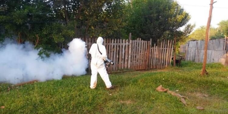 Se dispara el dengue en Rafaela: adolescente pasó por terapia intensiva