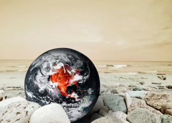 Los últimos 8 años fueron los más cálidos de la historia desde que se tiene registro