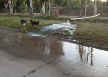 ASSA suspendió trabajos que tenía previsto realizar este viernes