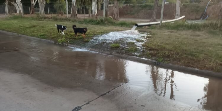 ASSA suspendió trabajos que tenía previsto realizar este viernes