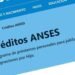 Que requisitos se deben cumplir para acceder a un extra de $85.000 en Anses
