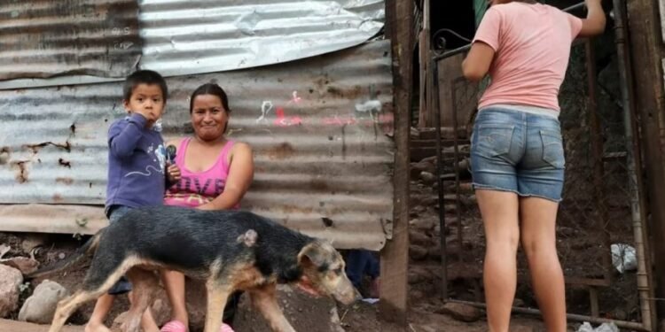 Hay 5,9 millones de chicos pobres en la Argentina; es el 54,2% de los menores de 14 años de todo el país