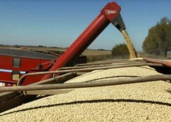 Saldo positivo Agroexportadores liquidaron casi US$ 94 millones