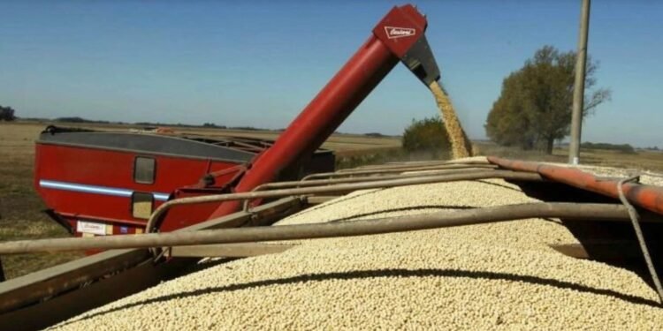 Saldo positivo Agroexportadores liquidaron casi US$ 94 millones