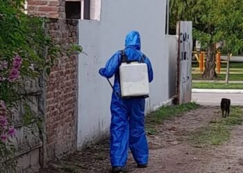 Crecen los contagios en el norte Estuvo preso dos días, tenía dengue y activaron el protocolo en una ciudad santafesina