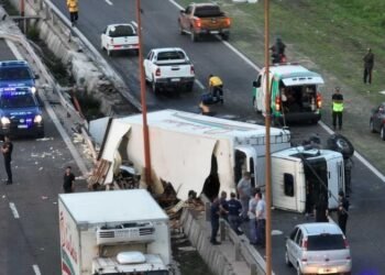 Una imagen que duele Volcó un camión de pollos en la circunvalación de Santa Fe y fue saqueado