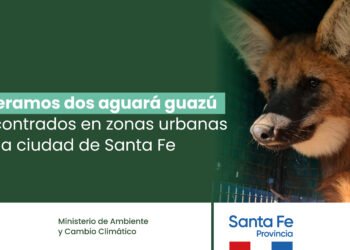 Liberaron dos aguará guazú en una reserva provincial