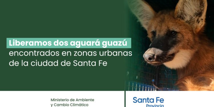 Liberaron dos aguará guazú en una reserva provincial