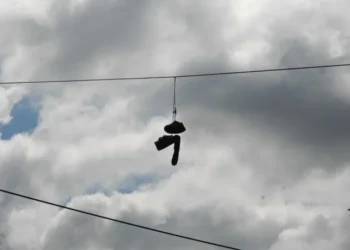 Crímenes narcos: «Toda mi vida fui delincuente, yo ando matando gente»