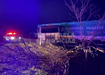 Autovía 19: Un camión despistó y su conductor fue trasladado con lesiones