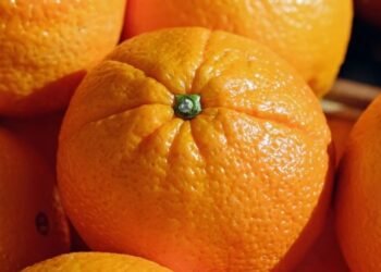 Vietnam dispuso la apertura de sus mercados a los cítricos dulces entrerrianos